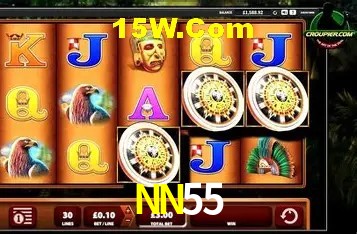 NN55